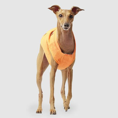 Canada Pooch Reversible Vest Orange/Plaid