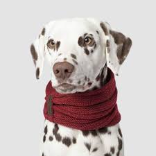 Canada Pooch Sierra Scarf Maroon