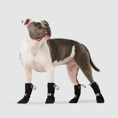 Canada Pooch Soft Shield Boots Black