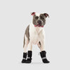 Canada Pooch Soft Shield Boots Black