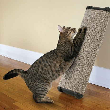 Omega Paw Lean-It Anywhere Scratch Post Wide