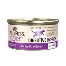 Wellness Core Digestive Health Pate Turkey