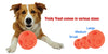 Omega Paw Tricky Treat Ball