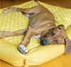 BeOne The Cozy Bed Memory Foam Ocher Dog Bed