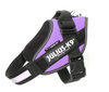 Julius-K9 Power Harness Purple
