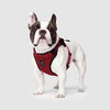 Canada Pooch Everything Mesh Harness Red