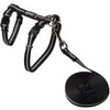 Rogz AlleyCat Harness and Leash