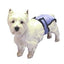 Pooch Pad Reusable Pants For Female Dogs